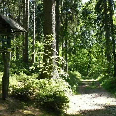 Мини-отель Gasthaus Zur Rosenaue *